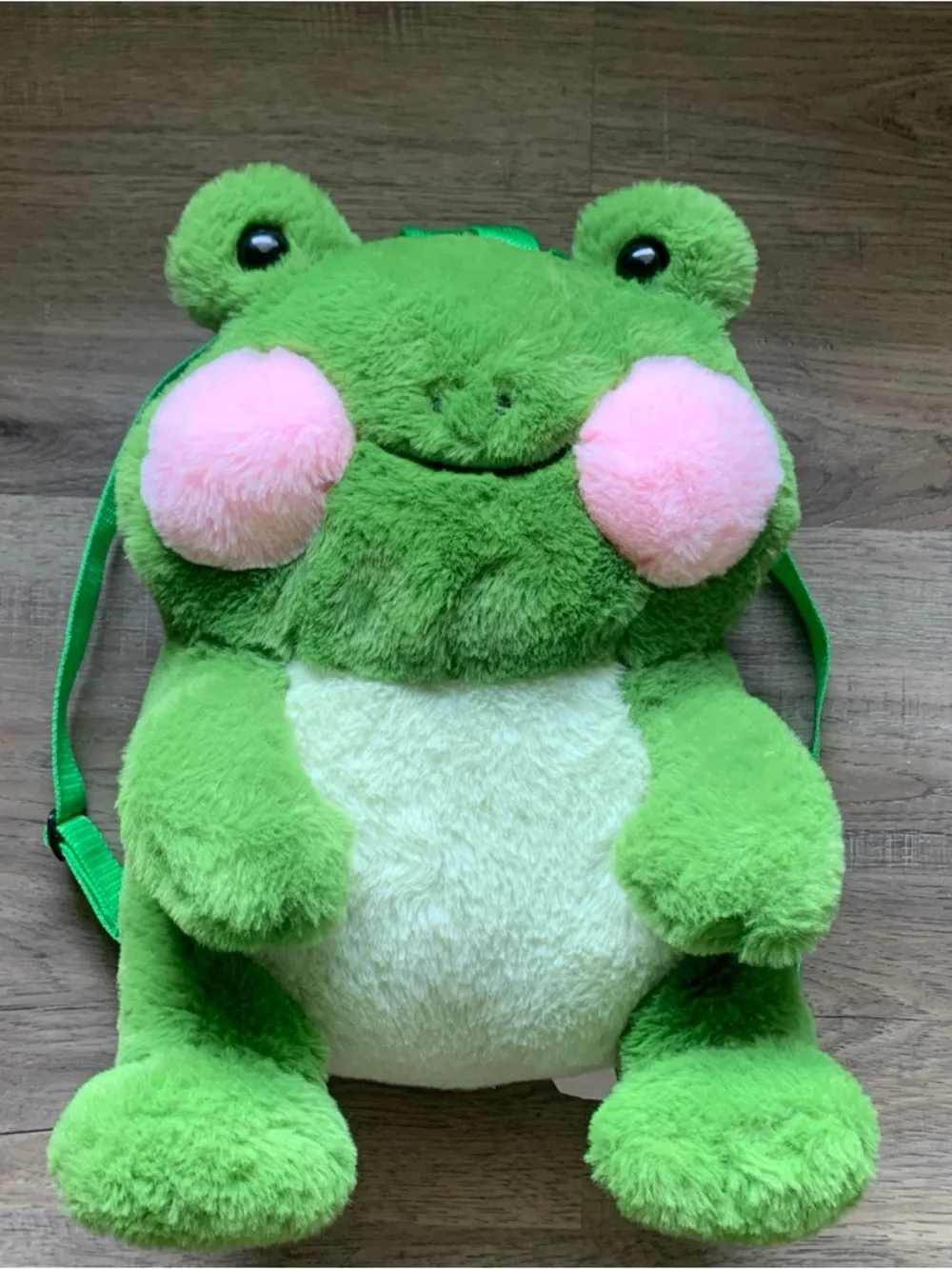 14 inch Frog Backpack with Adjustable Canvas Straps